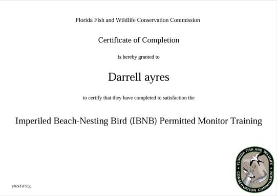 Imperiled Beach-Nesting Bird (IBNB) Permit
